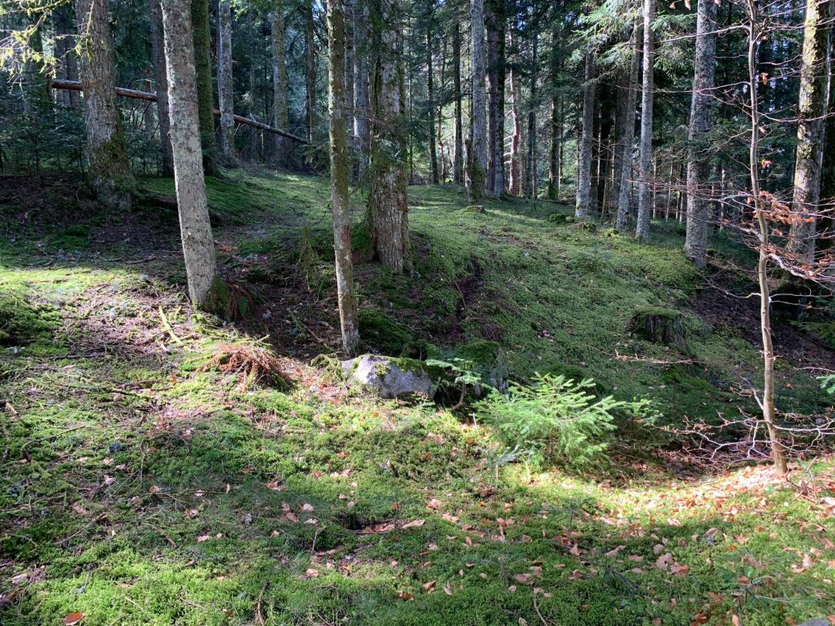 Gite " Oree Des Bois" Vertolaye Exterior foto