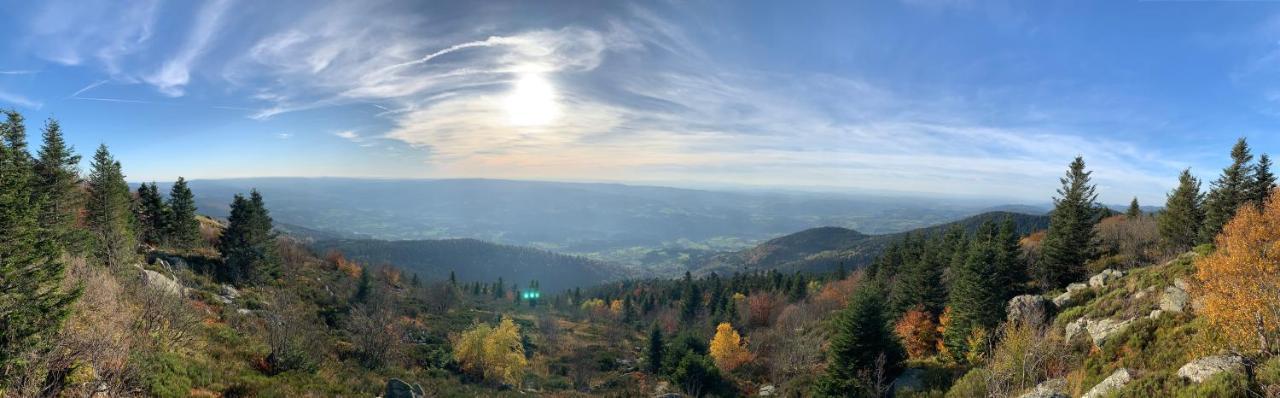 Gite " Oree Des Bois" Vertolaye Exterior foto