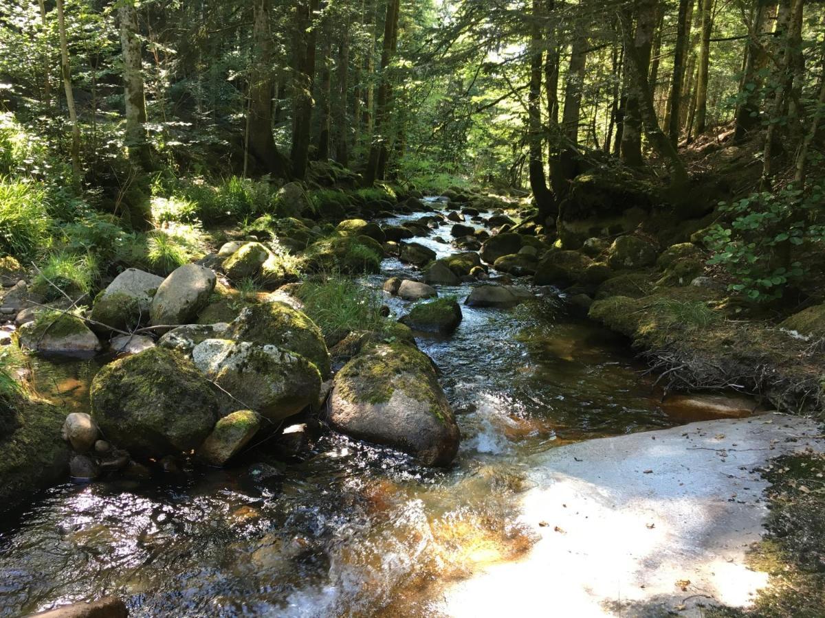 Gite " Oree Des Bois" Vertolaye Exterior foto