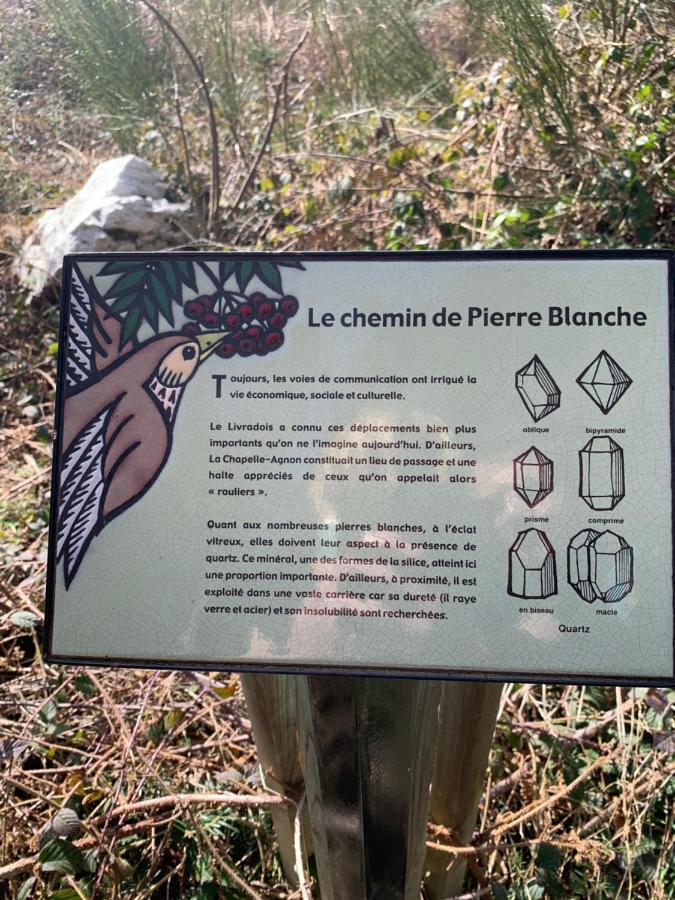 Gite " Oree Des Bois" Vertolaye Exterior foto