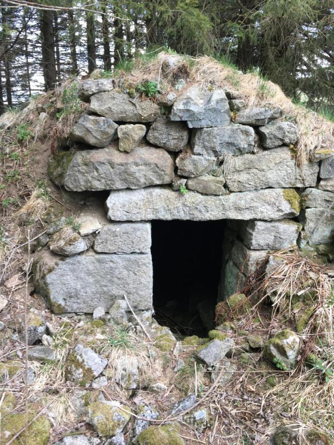 Gite " Oree Des Bois" Vertolaye Exterior foto